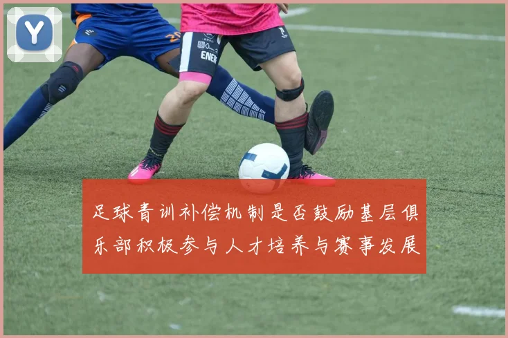 足球青训补偿机制是否鼓励基层俱乐部积极参与人才培养与赛事发展