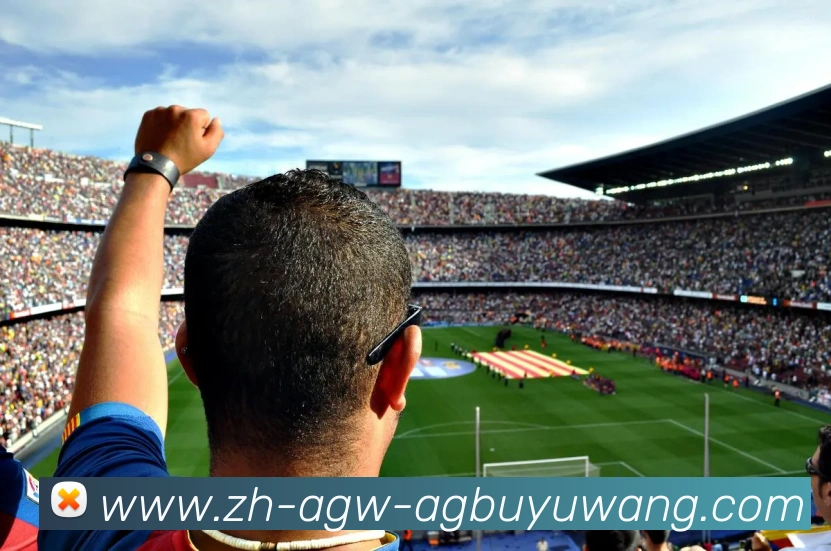 多媒体互动体验