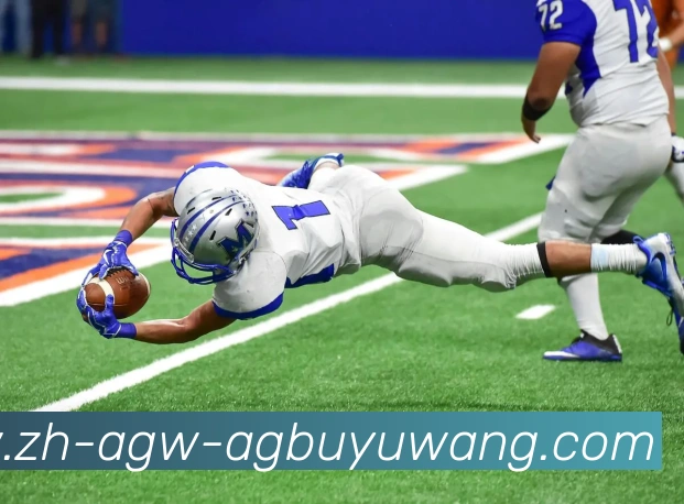 AG捕鱼王官网APP 高清赛事图